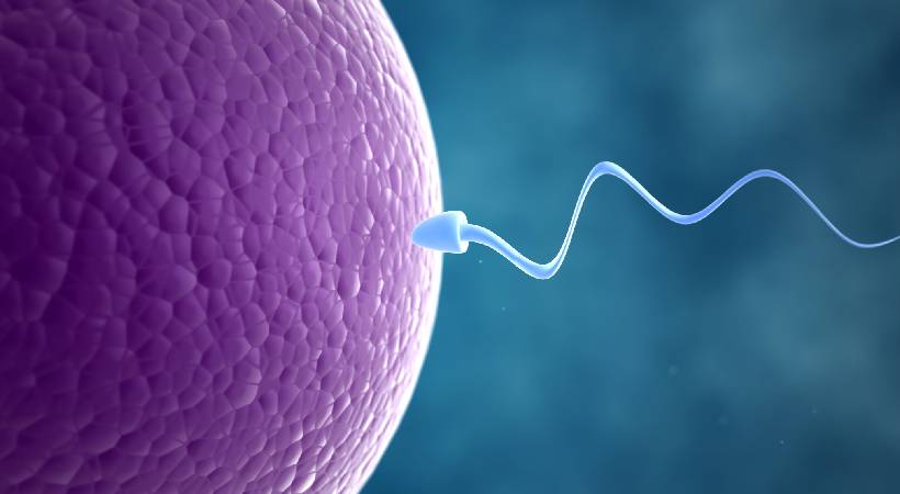 Best infertility specialist in Pune