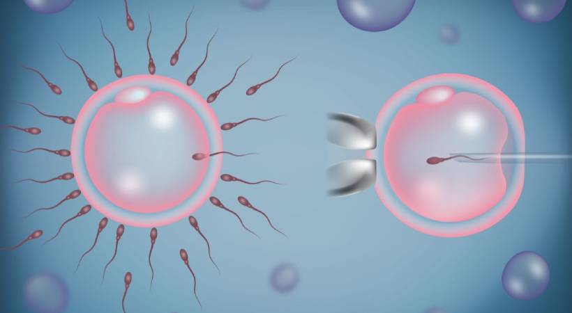 Gynecologist in Baner, Pune